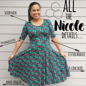 lularoe nicole large